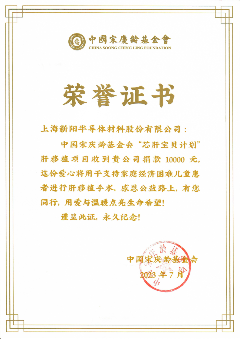 中国宋庆龄基金会 荣誉证书.png